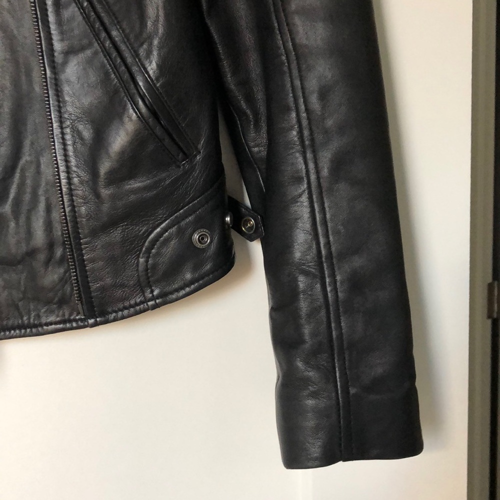 Leather moto jacket - Picture 4 of 7
